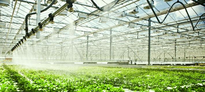 میزان نیاز آبی محصول در گلخانه ; مقدار آب مورد نیاز گلخانه