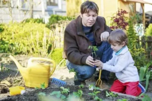 آموزش باغبانی ارگانیک به کودکان